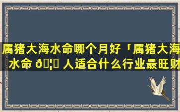 属猪大海水命哪个月好「属猪大海水命 🦅 人适合什么行业最旺财」